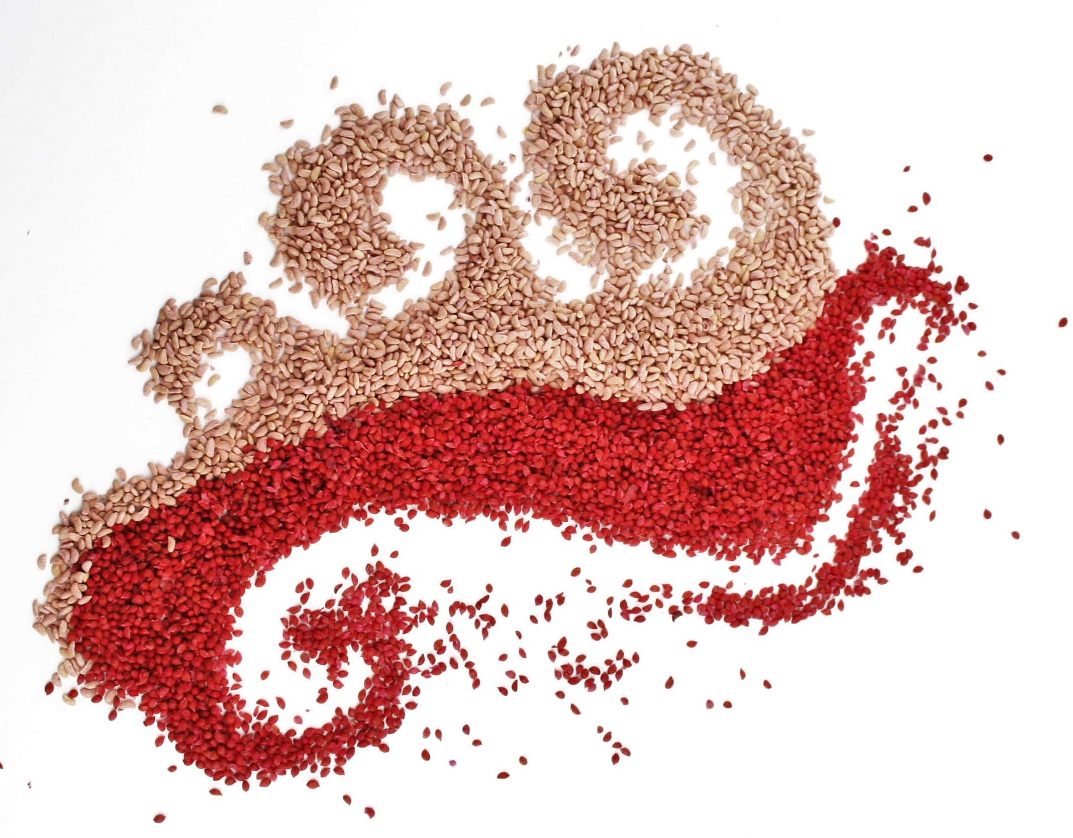 From Seed to Life: Unveiling the Vitality of Live Seed & Live Oils