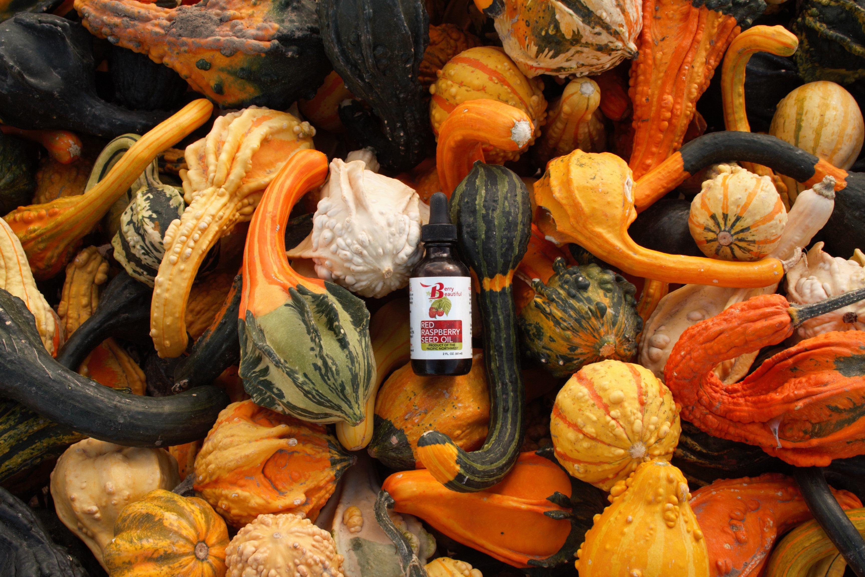 A Guide to Buying the Highest Quality Ingredients