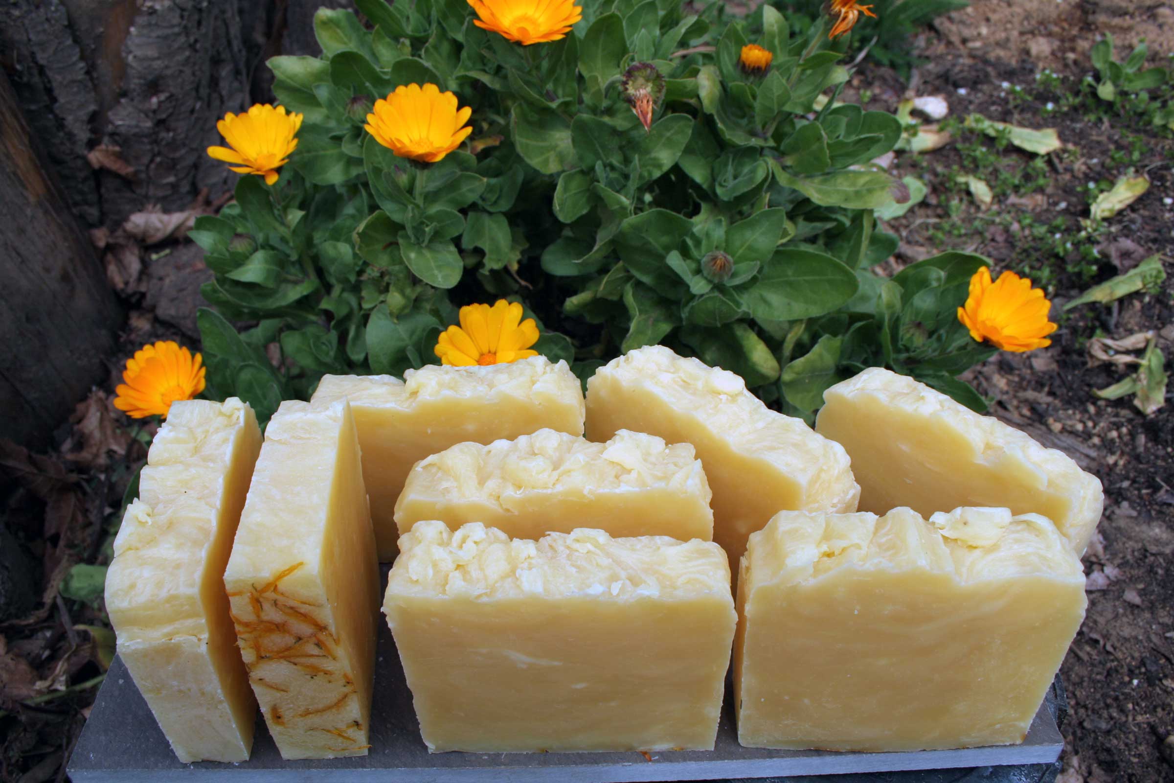 Coffret cadeau de Noël Calendula