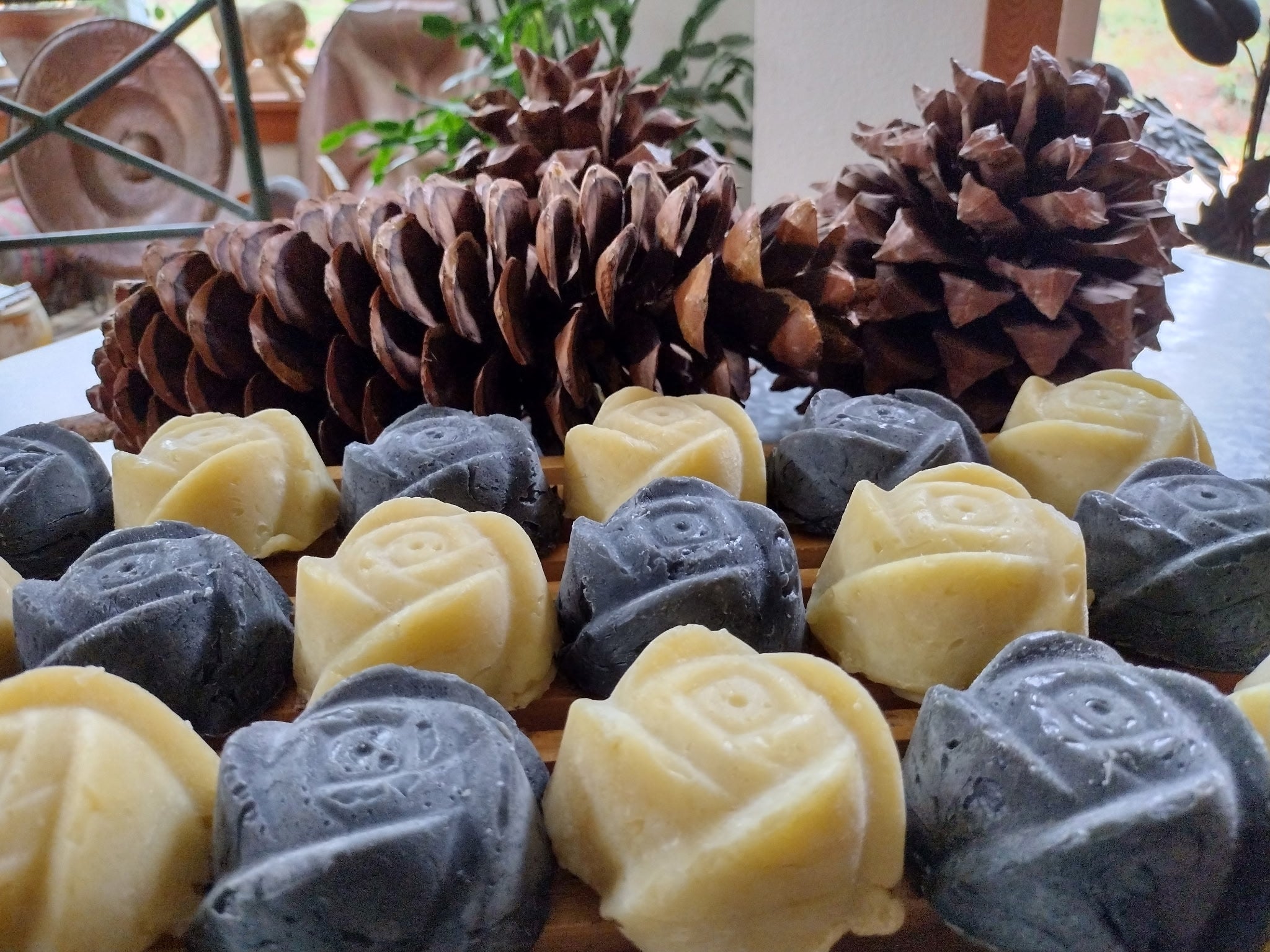 Shampoing solide à la canneberge