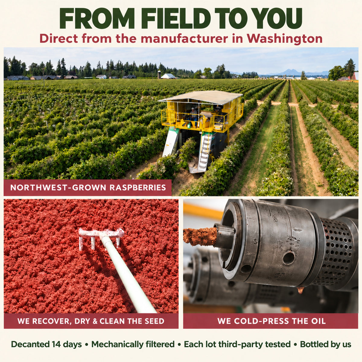 Promotional graphic for Northwest Grown Raspberries showing a large farm field with a yellow harvesting machine, a close-up of red raspberries with a seed harrow, and a cold-press machine. Text reads 'FROM FIELD TO YOU' and describes the direct-from-manufacturer supply chain and product processing.