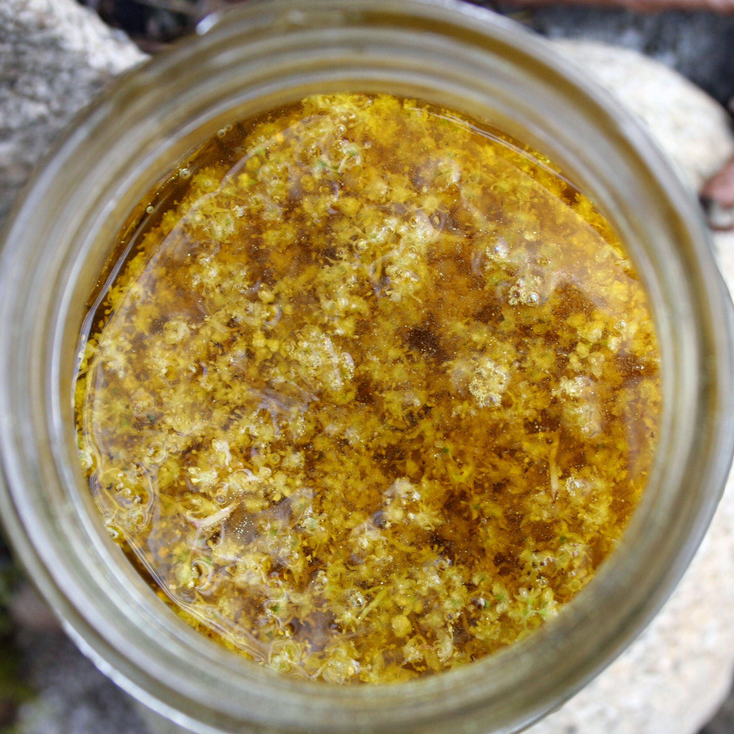 Top-down view of elderflower submerged in golden raspberry seed oil inside a glass Mason jar, showcasing the infusion process for skincare formulations.