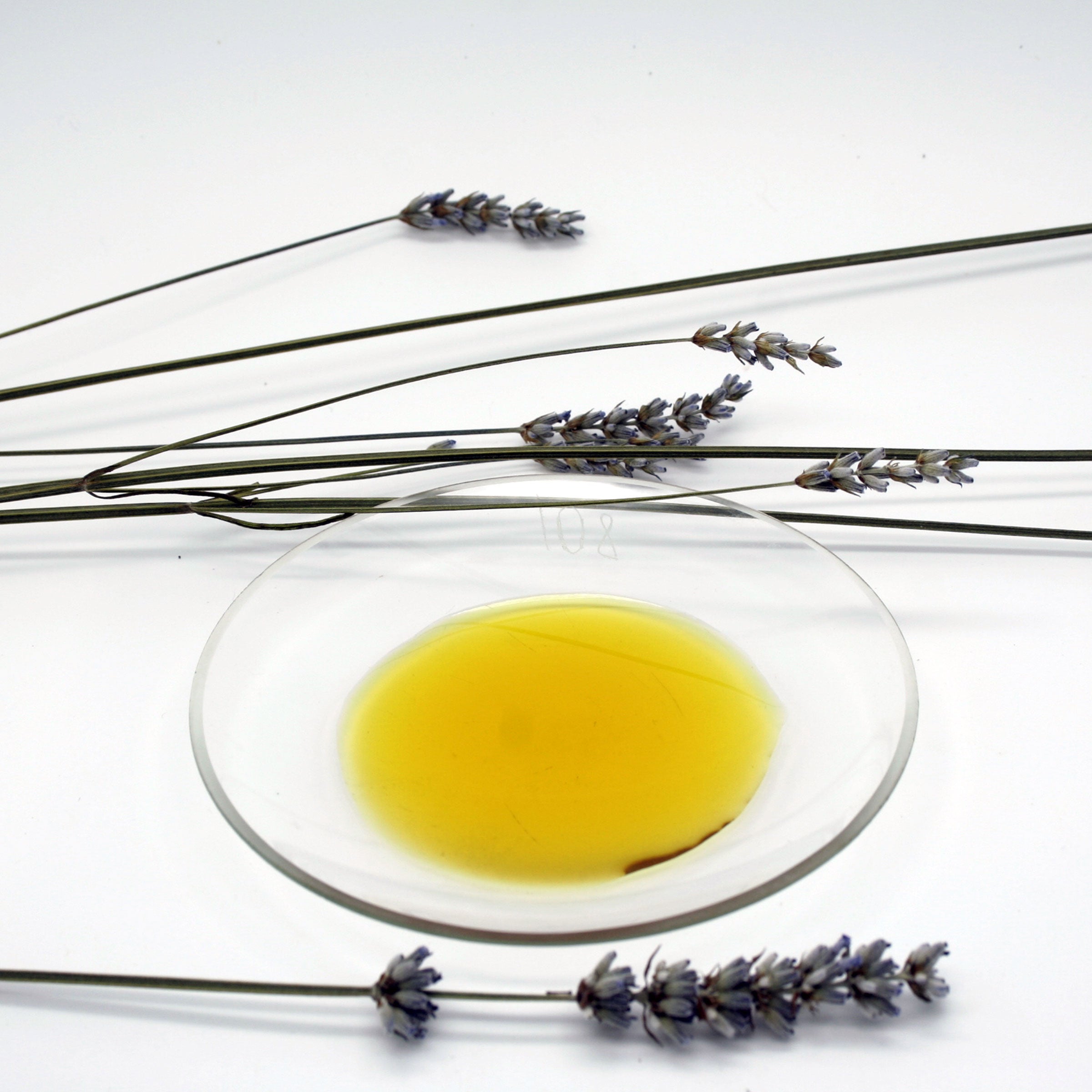 Close-up of lavender flowers next to a glass dish filled with golden lavender-infused raspberry seed oil, showcasing its natural color and purity.